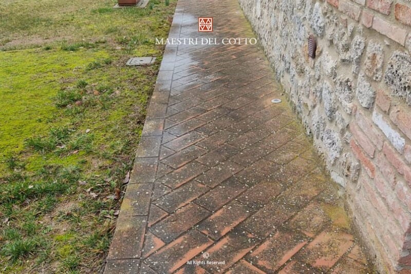 togliere muschio dal cotto